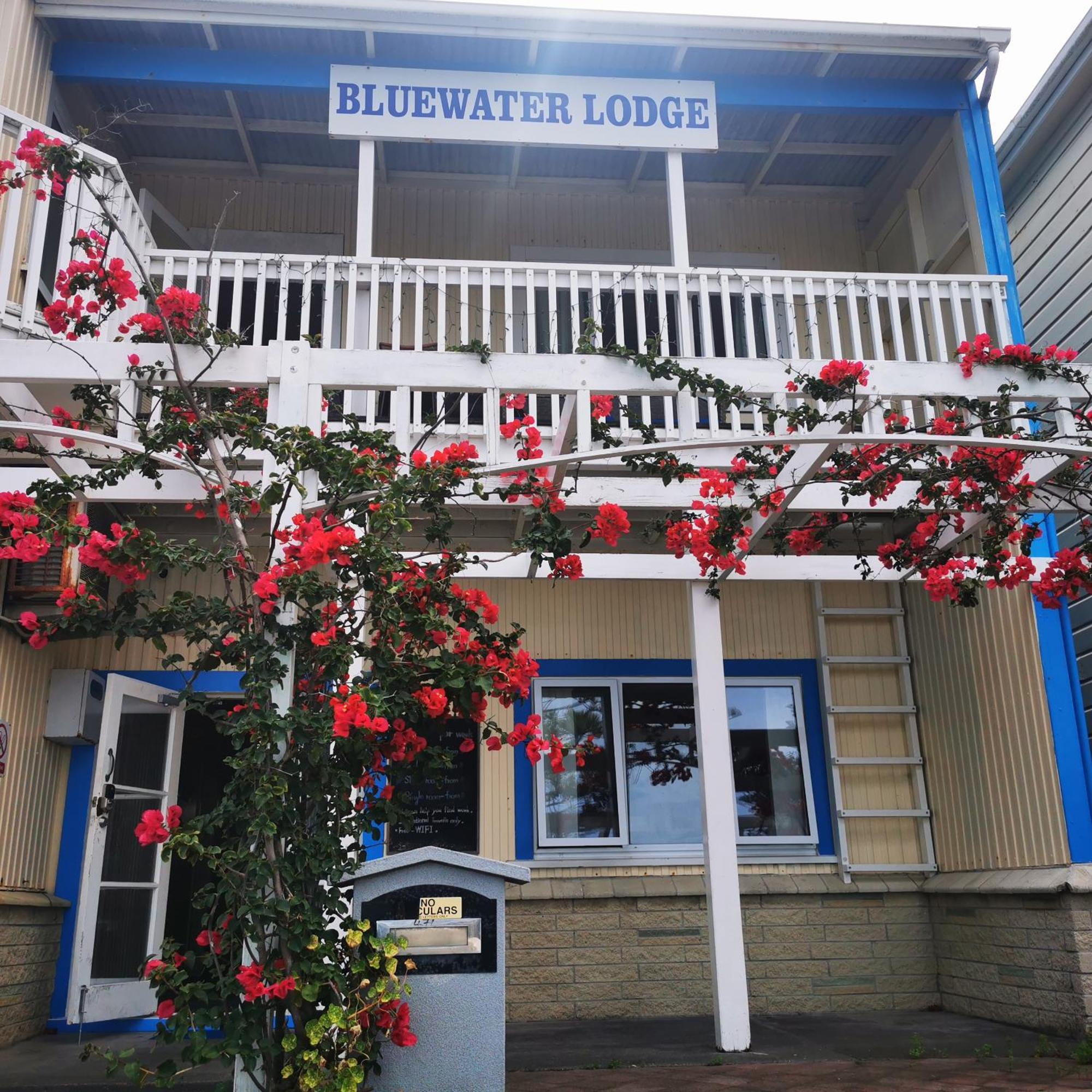 Bluewater Lodge Napier Εξωτερικό φωτογραφία