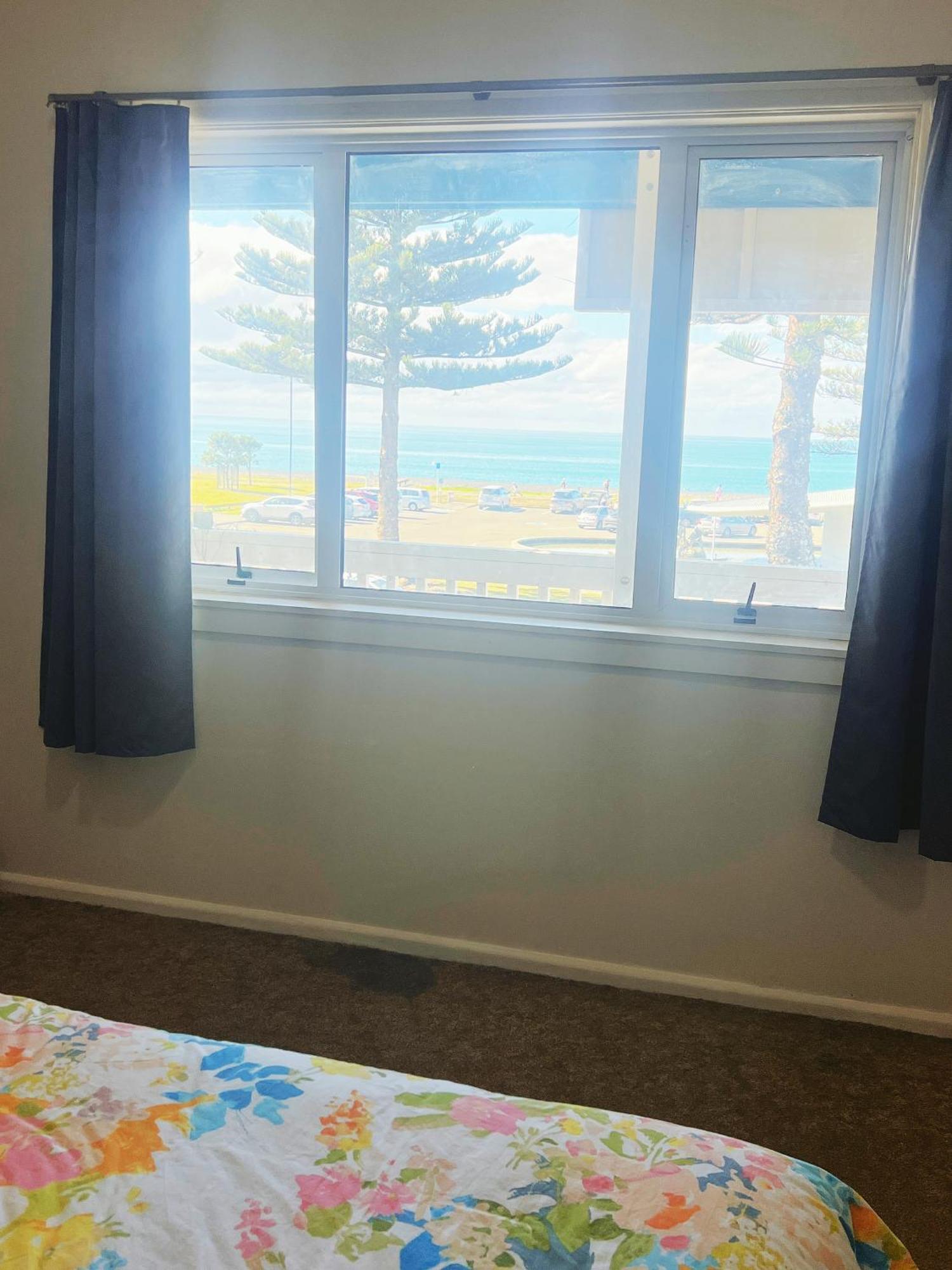 Bluewater Lodge Napier Εξωτερικό φωτογραφία